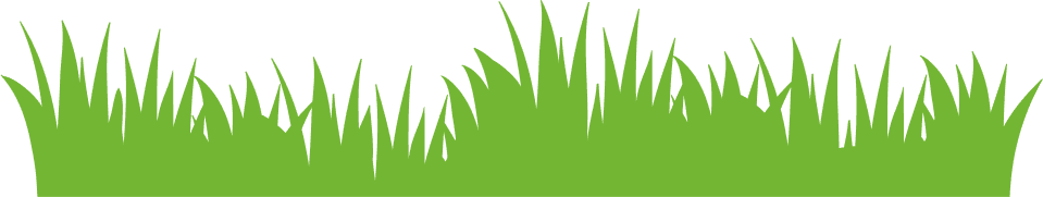 left-mountain